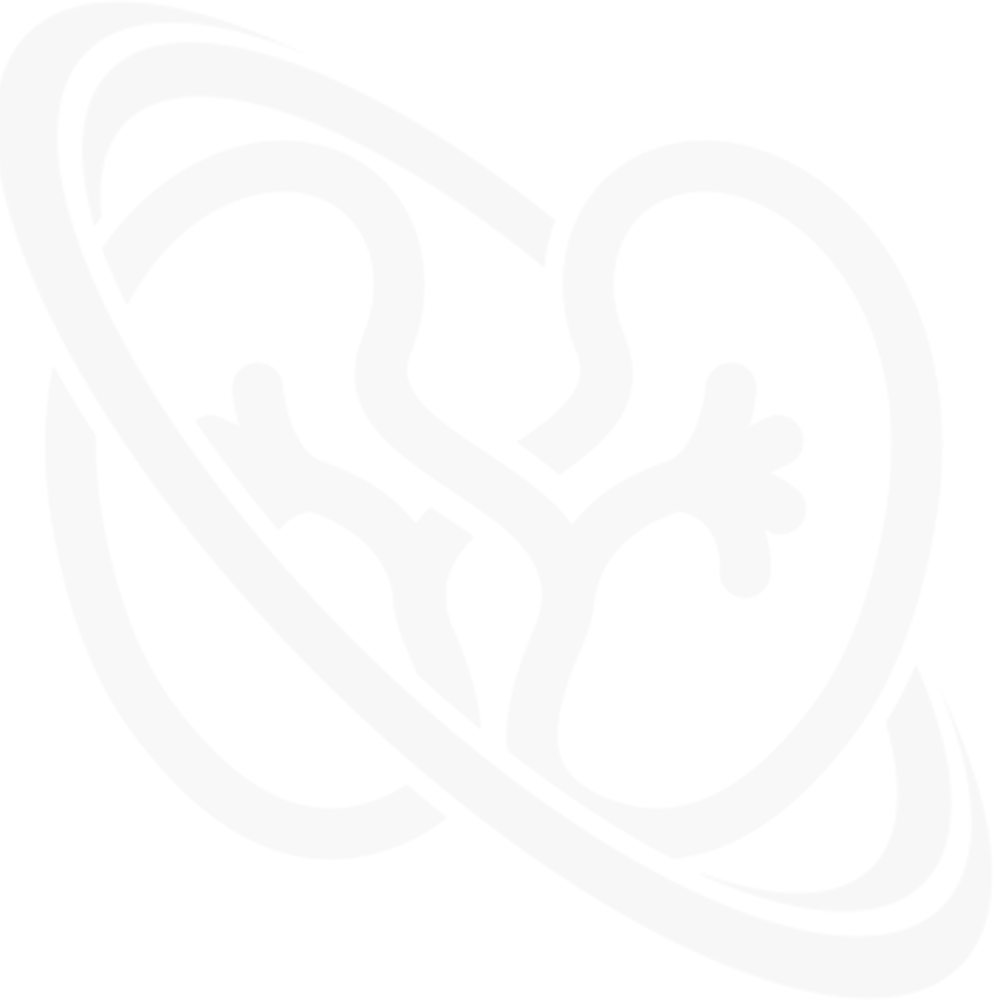 transparent logo transparent logo